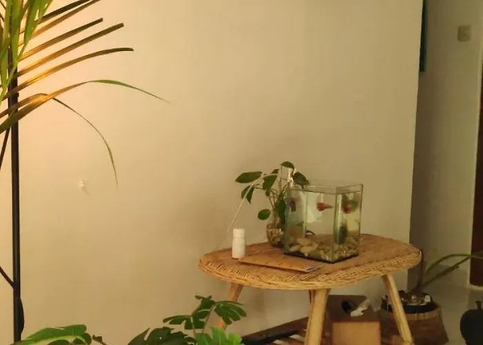 Cozy House In Nusa Dua *