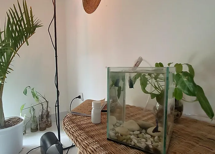 Cozy House In Nusa Dua Regierungsbezirk Badung
